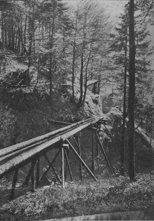 Foto Holzriese und Wächterhaus am Aritzbach-Riesweg