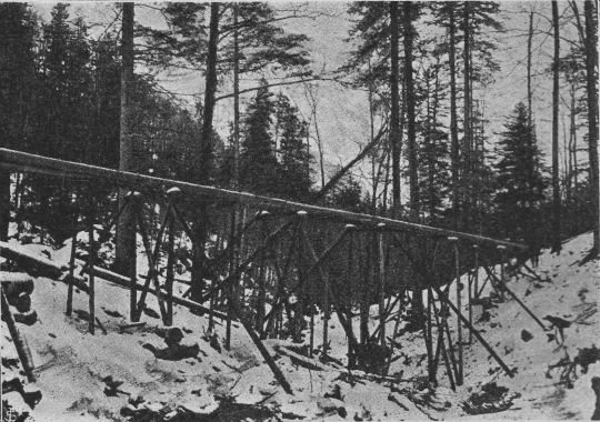 Foto Übersetzung des Weidbaches