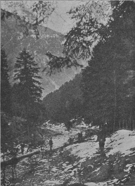 Foto Unterer Teil des Aritzbach-Riesweges