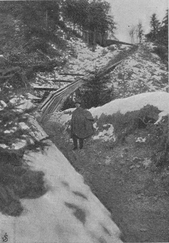 Foto Kehre des Ascherwald-Riesweges