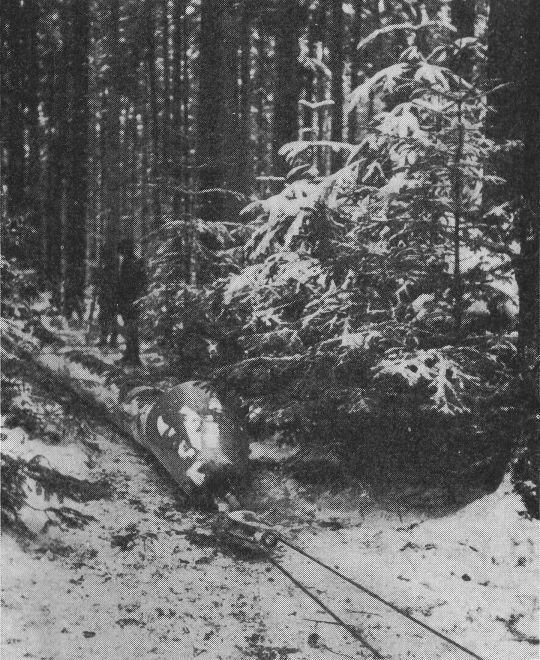 Foto Langholzrücken mit Rückehaube