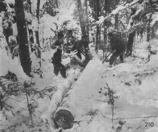 Foto Langholzrücken mit Abseilmaschine