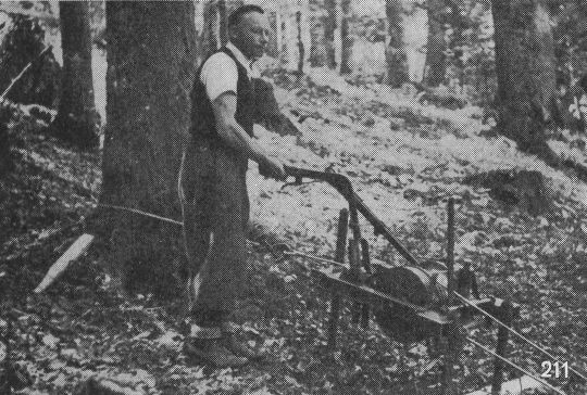 Foto Langholzrücken mit Abseilmaschine
