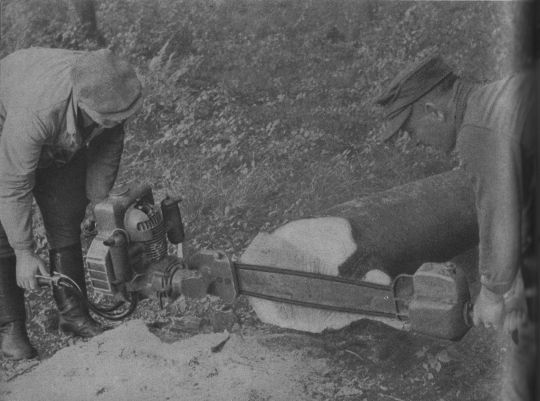 Foto Fällen mit Zweimann-Motorsäge