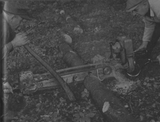 Foto Einschneiden von Schichtholz mit einer Zweimann-Motorsäge