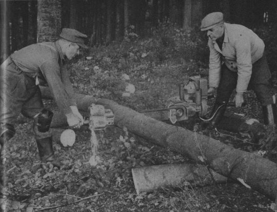 Foto Einschneiden von Schichtholz mit einer Zweimann-Motorsäge