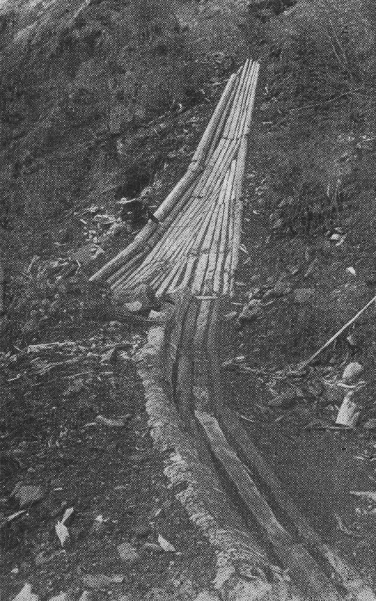 Foto Zocchi Wegriese