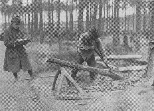Foto "Zeitstudien beim Schälen von Grubenholz"