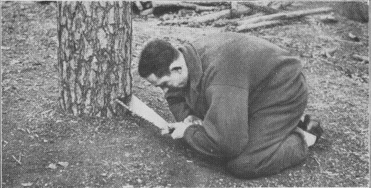 Foto Körperhaltung beim Vorwärtssägen