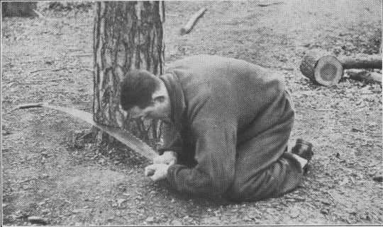 Foto Körperhaltung beim Rückwärtssägen