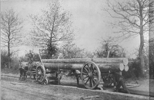 Foto Fuhrwerksbahn in dem Gräfl. Bernstorffschen Forstamt in Gartow