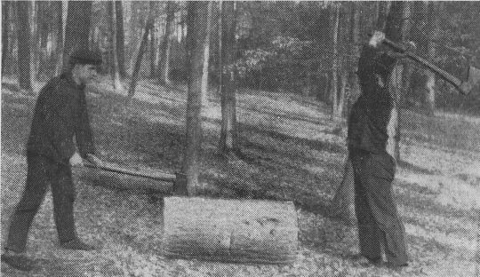 Foto "Spalten zu zweit ohne Keil (unzweck.mässig: Zweitverlust und Unfallgefahr)"