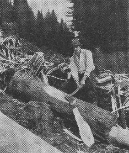 Foto "Die Asthacke zum glatten Putzen"