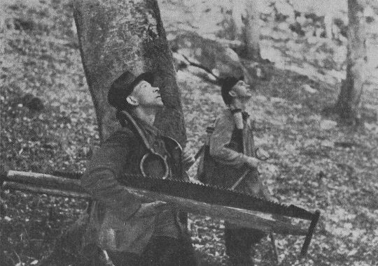 Foto "Aussuchen der Fallrichtung"