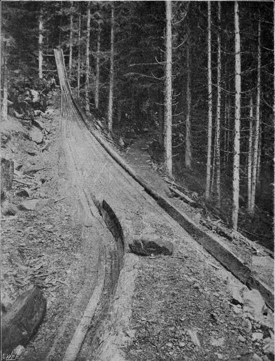 Foto "Spitzkehre B der Zocchi-Riese"