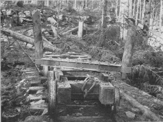 Foto "Waldtruck im Schlage der Firma Steinbeis"