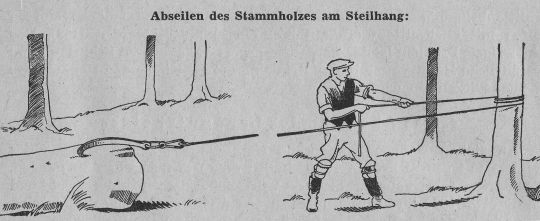 Foto "Abseilen des Stammholzes am Steilhang"