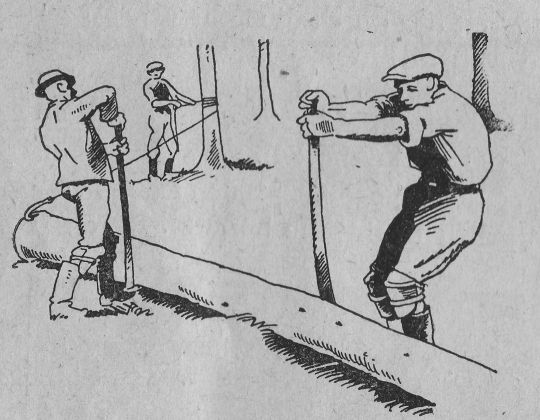 Foto "Der angeseilte Stamm wird durch Anheben mit Sapinen in Bewegung gesetzt"