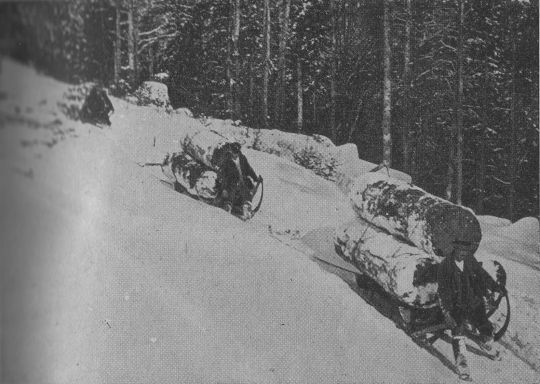 Foto "Blöcherschlitten in Fahrt. Sitz auf der Reibestange zwischen den Hörnern..."