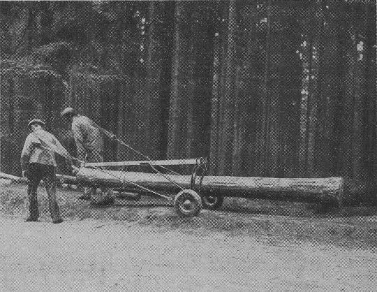 Foto "Rückekarre nach Waldarbeiter Ihle"