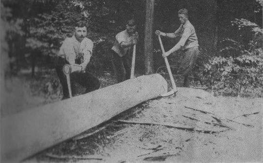 Foto "Rücken von Stammholz mit der Sapine"