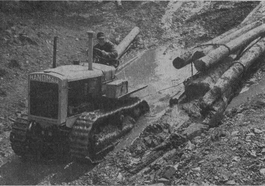 Foto Stammholzrücken mit Hanomag-Raupenschlepper