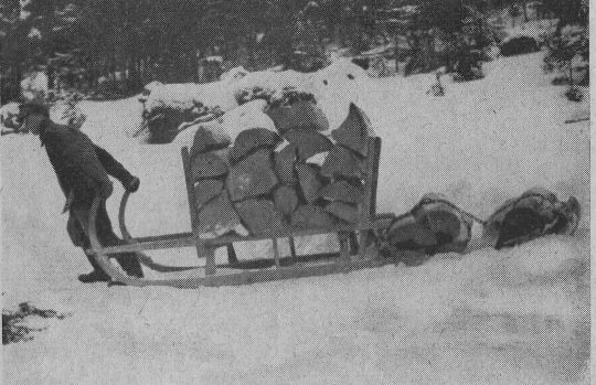 Foto "Schichtholzbündel als Bremsmittelhinter dem Schlitten"