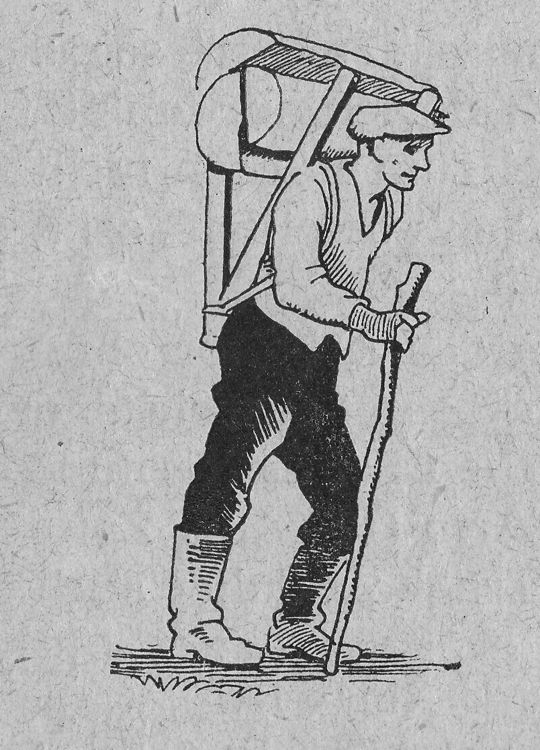 Foto "Traggestell zum Rücken von Schichtholz"