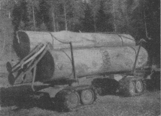 Foto "Raupenradanhänger für Blochholz des bayrischen Forstamts Spiegelau"