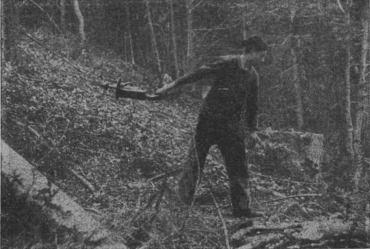 Foto "Seilkran Wyssen. Das leere Gehänge wird zum nächsten Stamm gebracht"