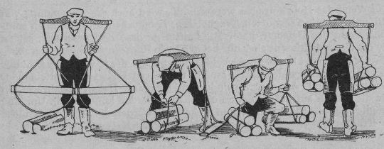 Foto "Tragholz zum Rücken von Schichtholz"