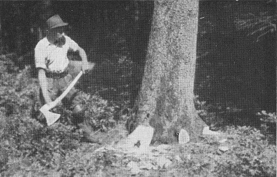 Foto "Ausführung des senkrechten Axtstreichs"