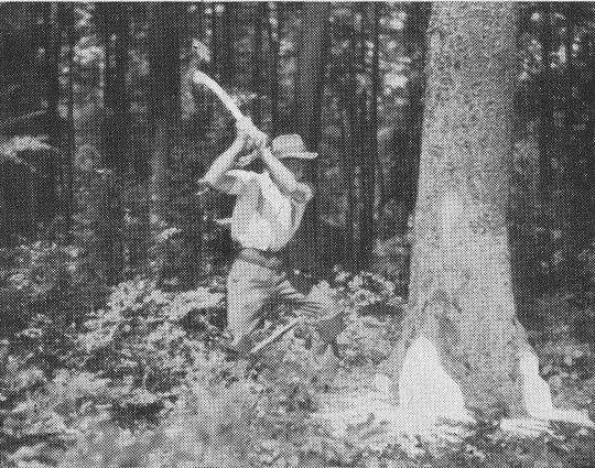 Foto "Ausführung des senkrechten Axtstreichs"