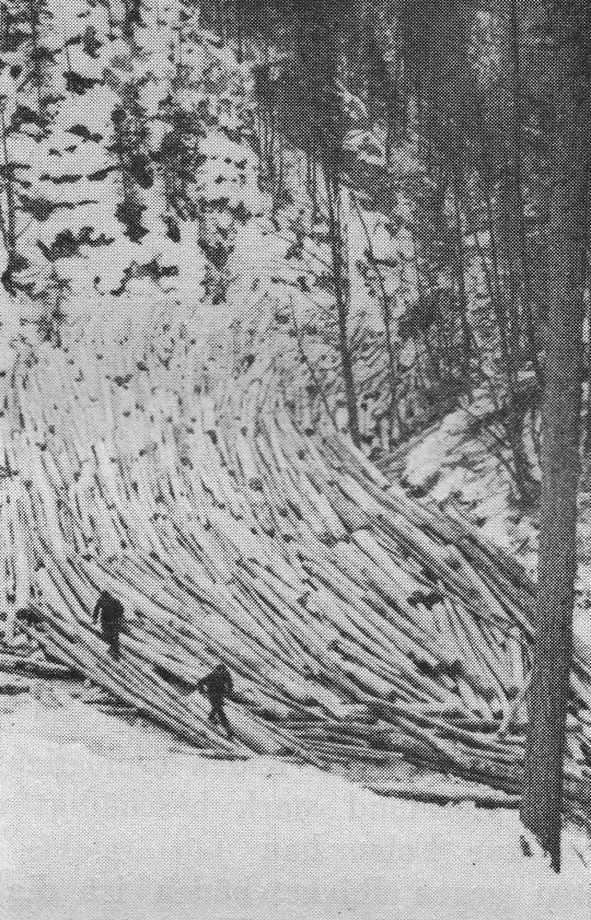 Foto "Geliefertes Holz"