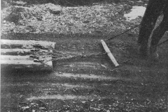 Foto "Streifen von Holz mittels "Streifzotteln""