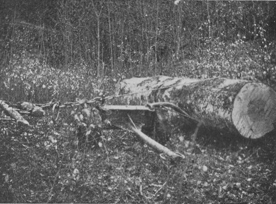Foto ""Rückrolli" der Herstellung Ernst Rohr, Maschinenbau, in Staufen, Lenzburg,..."