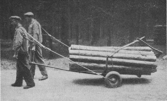 Foto "Bärenfelser-Rückewagen, luftgummiberieft, mit Wanne"