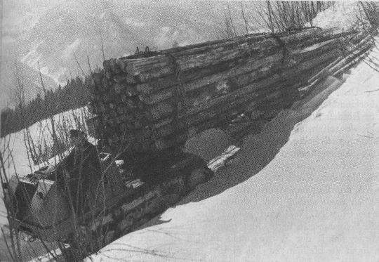 Foto ""Motormuli" mit Drehrunge und Schlitten bei der Holzbringung im Winter."