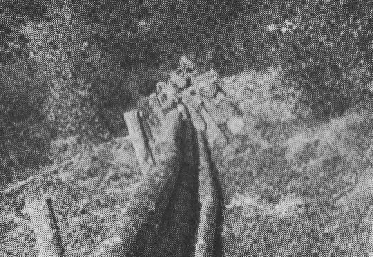 Foto ""Holzlieferung" über eine Wiese durch Begrenzung der Gleitbahn"