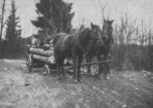Foto "Landesübliches Pferdefuhrwerk mit schmalen eisenbereiften Rädern..."