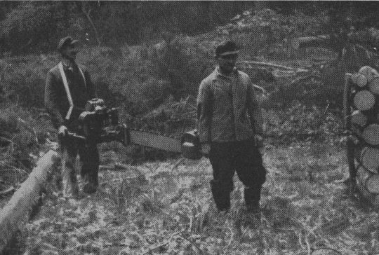 Foto "Transport der Motorkettensäge auf weitere Strecken..."