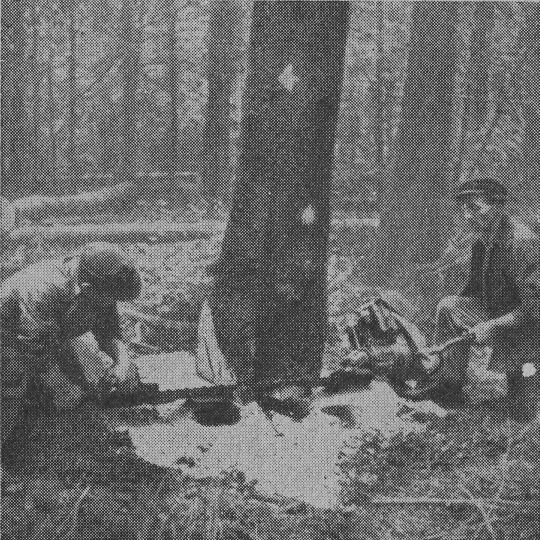 Foto Anlegen des Fallkerbs