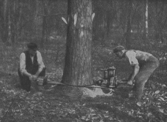 Foto "Körperhaltung beim Ansetzen zum horizontalen Schnitt"