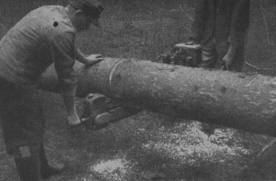 Foto "Schnitt von unten nach oben, der Schienenkopf dient als Baumanschlag"