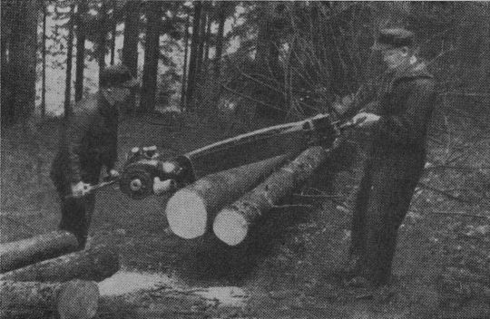 Foto "Richtiges Ansetzen der Motorkettensäge am Stamm"
