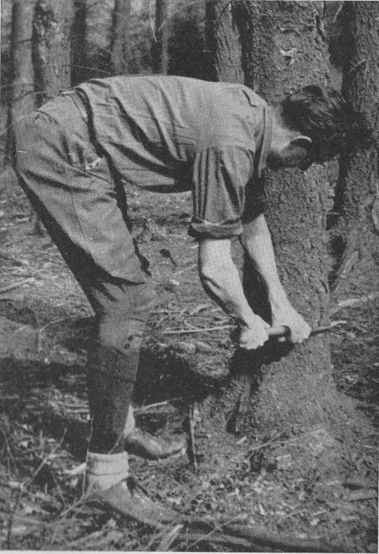 Foto "Loheisen in Gebrauch"