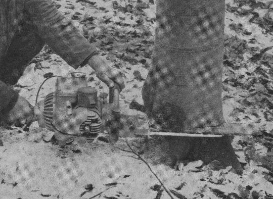 Foto "Fällschnitt mit Einmann-Kettensäge"