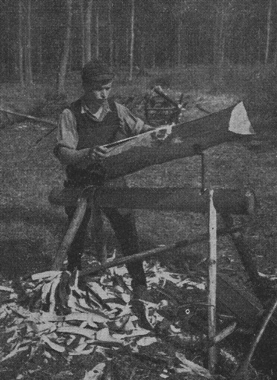 Foto "Schnitzbock für Faserholz"