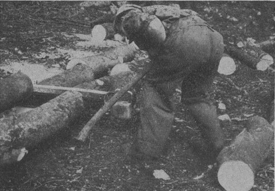 Foto "Sapine bei der Motorsägenarbeit"