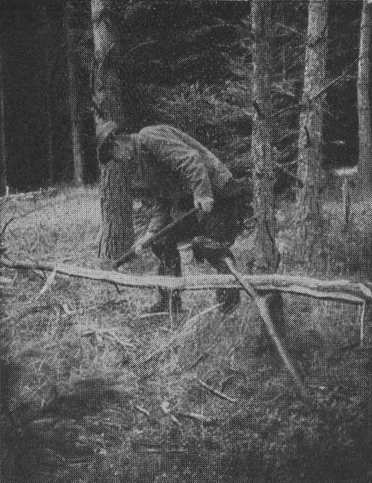 Foto "Astgabel statt Bock beim Stangenschnitzen"